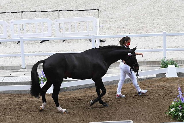 OLY-2020-DRESSAGE-JOG-7-24-21-1424-171-LYLE ADRIENNE-SALVINO-USA-DDEROSAPHOTO