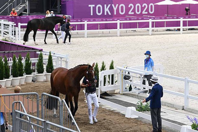 OLY-2020-DRESSAGE-JOG-7-24-21-1436-172-STEFFEN PETERS-SUPPERKASPER-USA-DDEROSAPHOTO