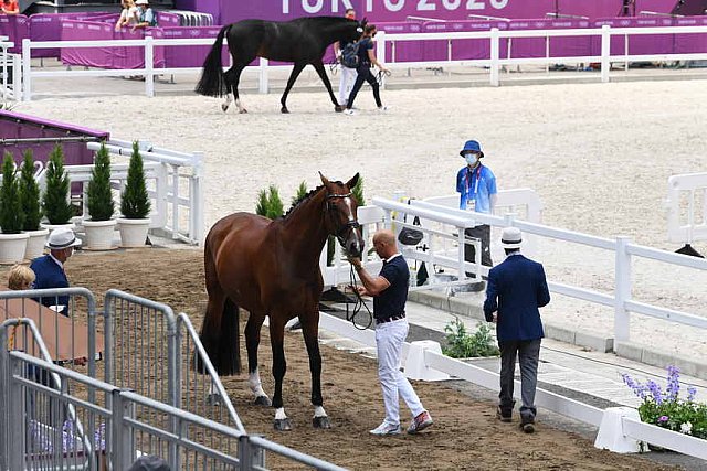 OLY-2020-DRESSAGE-JOG-7-24-21-1437-172-STEFFEN PETERS-SUPPERKASPER-USA-DDEROSAPHOTO