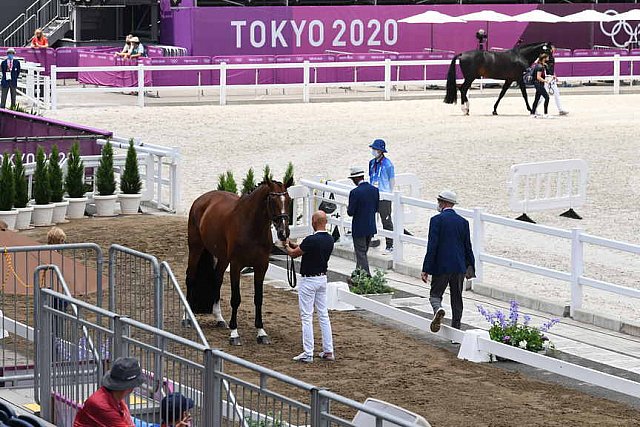 OLY-2020-DRESSAGE-JOG-7-24-21-1440-172-STEFFEN PETERS-SUPPERKASPER-USA-DDEROSAPHOTO