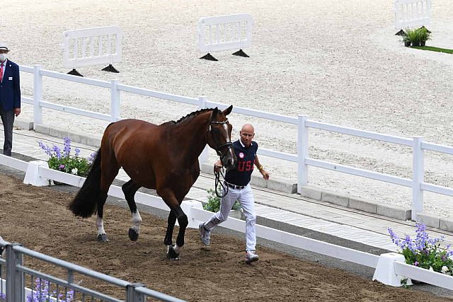 OLY-2020-DRESSAGE-JOG-7-24-21-1446-172-STEFFEN PETERS-SUPPERKASPER-USA-DDEROSAPHOTO