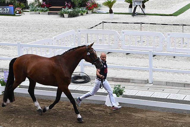 OLY-2020-DRESSAGE-JOG-7-24-21-1450-172-STEFFEN PETERS-SUPPERKASPER-USA-DDEROSAPHOTO