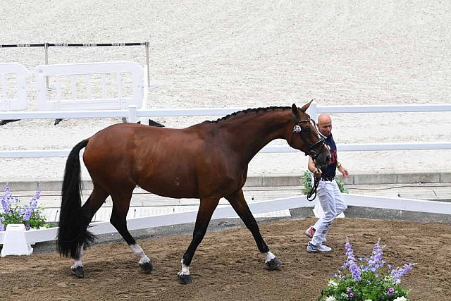 OLY-2020-DRESSAGE-JOG-7-24-21-1453-172-STEFFEN PETERS-SUPPERKASPER-USA-DDEROSAPHOTO