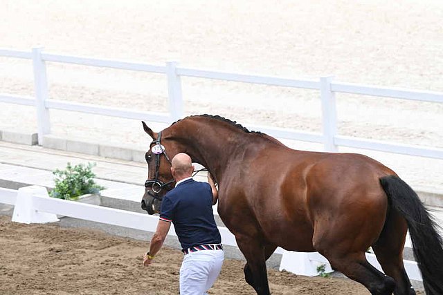 OLY-2020-DRESSAGE-JOG-7-24-21-1461-172-STEFFEN PETERS-SUPPERKASPER-USA-DDEROSAPHOTO