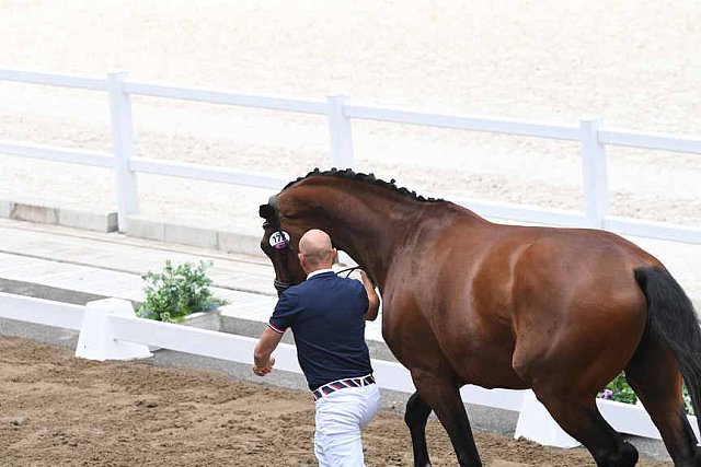 OLY-2020-DRESSAGE-JOG-7-24-21-1462-172-STEFFEN PETERS-SUPPERKASPER-USA-DDEROSAPHOTO