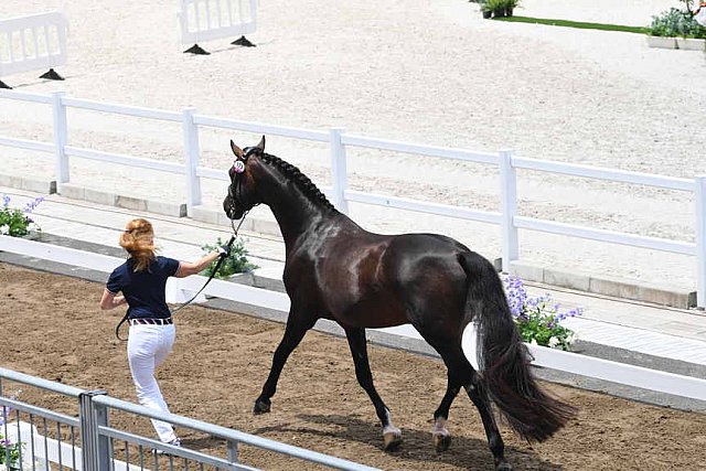 OLY-2020-DRESSAGE-JOG-7-24-21-1493-173-SABINE SCHUT-KERY-SANCEO-USA-DDEROSAPHOTO