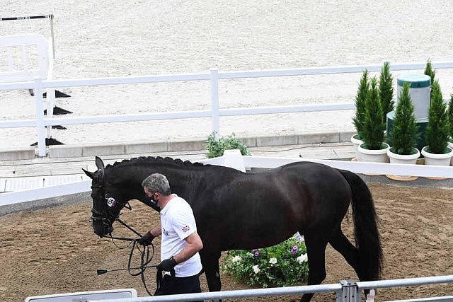 OLY-2020-DRESSAGE-JOG-7-24-21-1510-174-NICK- WAGMAN-DON JOHN-USA-DDEROSAPHOTO