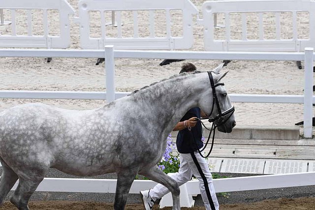 OLY-2020-DRESSAGE-JOG-7-24-21-1520-156-CARLOS PINTO-SULTAO MENEZES-POR-DDEROSAPHOTO