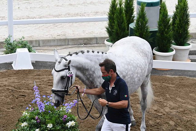 OLY-2020-DRESSAGE-JOG-7-24-21-1522-156-CARLOS PINTO-SULTAO MENEZES-POR-DDEROSAPHOTO