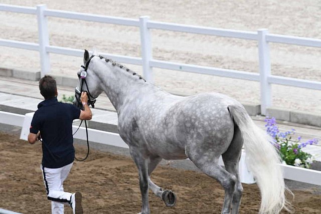 OLY-2020-DRESSAGE-JOG-7-24-21-1525-156-CARLOS PINTO-SULTAO MENEZES-POR-DDEROSAPHOTO