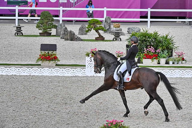 OLY-2020-DRESSAGE-GP DAY1-7-24-21-1842-121-NANNA SKODBORG MERRALD-ZACK-DEN-DDEROSAPHOTO