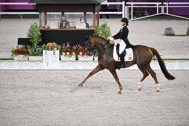 OLY-2020-DRESSAGE-GP DAY1-7-24-21-5462-118-CATHRINE DUFOUR-BOHEMIAN-DEN-DDEROSAPHOTO