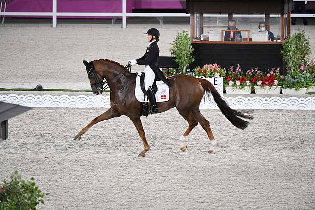 OLY-2020-DRESSAGE-GP DAY1-7-24-21-5465-118-CATHRINE DUFOUR-BOHEMIAN-DEN-DDEROSAPHOTO