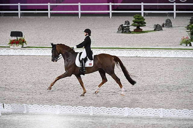 OLY-2020-DRESSAGE-GP DAY1-7-24-21-5466-118-CATHRINE DUFOUR-BOHEMIAN-DEN-DDEROSAPHOTO