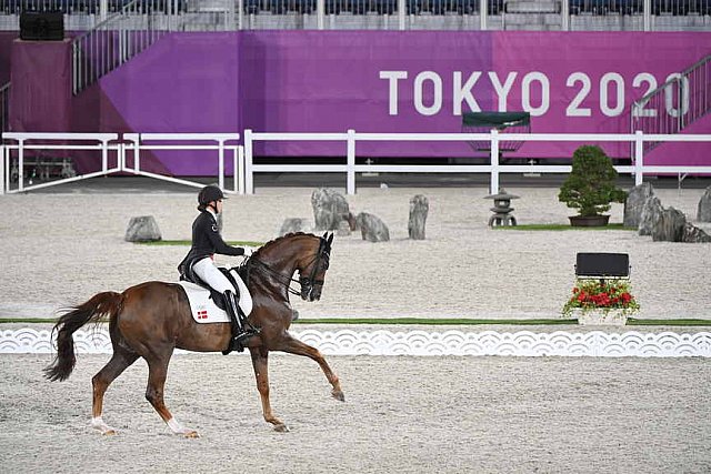 OLY-2020-DRESSAGE-GP DAY1-7-24-21-5534-118-CATHRINE DUFOUR-BOHEMIAN-DEN-DDEROSAPHOTO