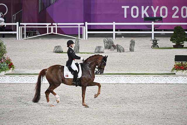 OLY-2020-DRESSAGE-GP DAY1-7-24-21-5604-118-CATHRINE DUFOUR-BOHEMIAN-DEN-DDEROSAPHOTO