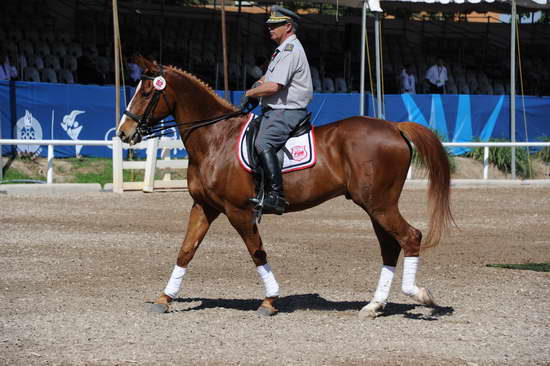 PanAmGames-MX-10-15-11-4924-DDeRosaPhoto.JPG