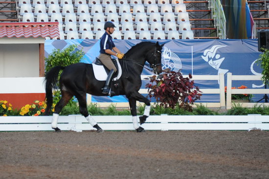 PanAmGames-MX-10-15-11-5222-SteffenPeters-WeltonsMagic-DDeRosaPhoto.JPG