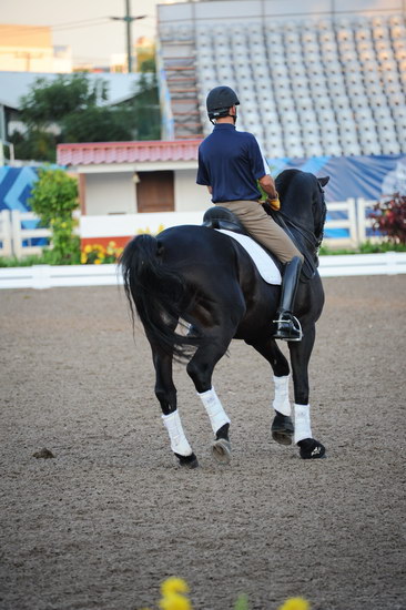 PanAmGames-MX-10-15-11-5232-SteffenPeters-WeltonsMagic-DDeRosaPhoto.JPG