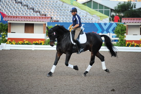 PanAmGames-MX-10-15-11-5238-SteffenPeters-WeltonsMagic-DDeRosaPhoto.JPG