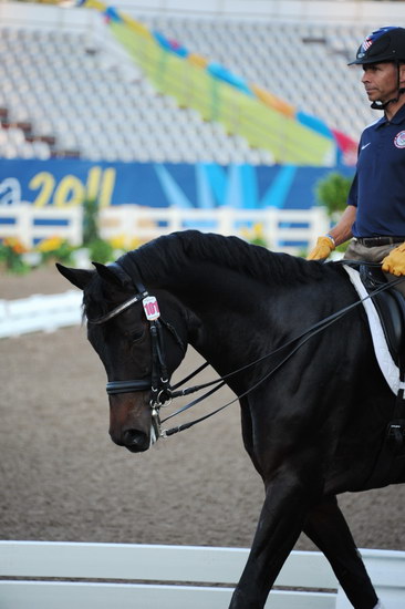 PanAmGames-MX-10-15-11-5245-SteffenPeters-WeltonsMagic-DDeRosaPhoto.JPG