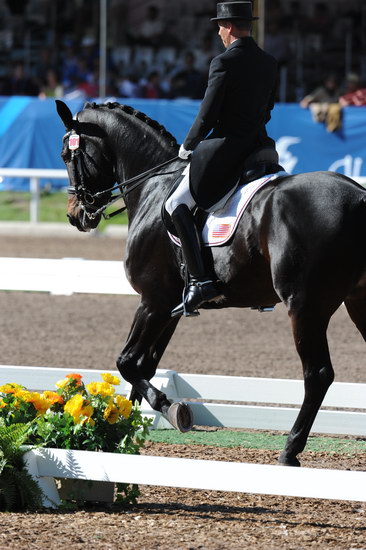 PanAmGames-MX-10-16-11-5847-SteffenPeters-WeltonsMagic-DDeRosaPhoto.JPG