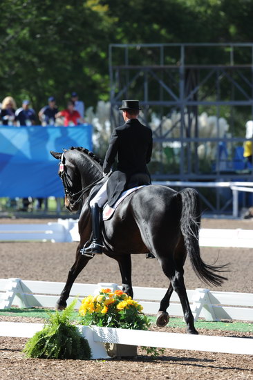 PanAmGames-MX-10-16-11-5849-SteffenPeters-WeltonsMagic-DDeRosaPhoto.JPG