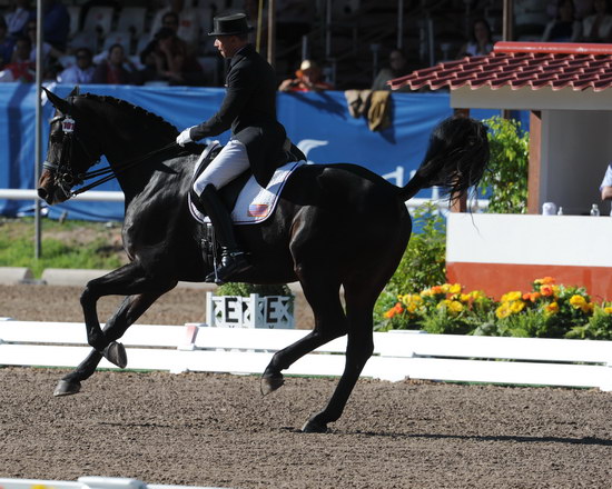 PanAmGames-MX-10-16-11-6024-SteffenPeters-WeltonsMagic-DDeRosaPhoto.JPG