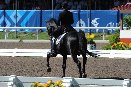 PanAmGames-MX-10-17-11-8902-SteffenPeters-WeltinosMagic-USA-DDeRosaPhoto.JPG