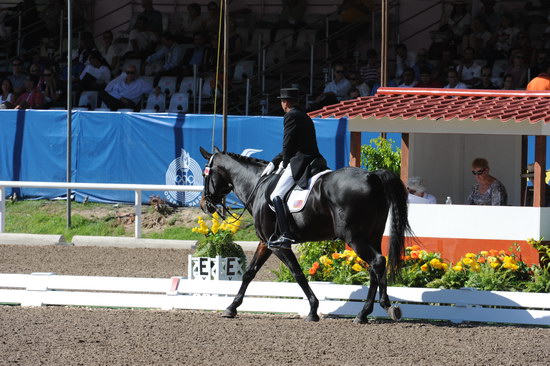 PanAmGames-MX-10-17-11-8927-SteffenPeters-WeltinosMagic-USA-DDeRosaPhoto.JPG