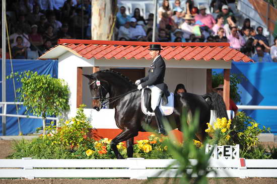 PanAmGames-MX-10-19-11-7591-DRE-IND-SteffenPeters-WeltinosMagic-USA-DDeRosaPhoto.JPG