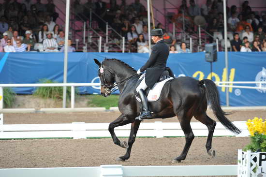 PanAmGames-MX-10-19-11-7726-DRE-IND-SteffenPeters-WeltinosMagic-USA-DDeRosaPhoto.JPG