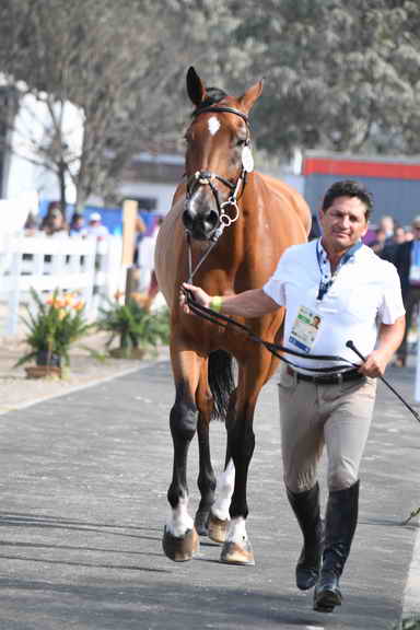 PanAm-Peru-SJ-Jog-8-4-19-0763-DiegoJavierViveroViteri-ZambiaMysticRose-ECU-DDeRosaPhoto