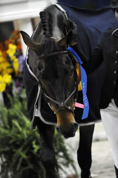 WIHS-10-24-09-Cl203JrJpr-DSC_9639-Flight-ReedKessler-EricStraus-JulietReid-Misc-DDeRosaPhoto.jpg