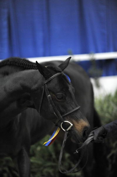 WIHS-10-25-09-MedPnyChampion-DSC_2152-Tuscany-MeredithDarst-Misc-DDeRosaPhoto.jpg