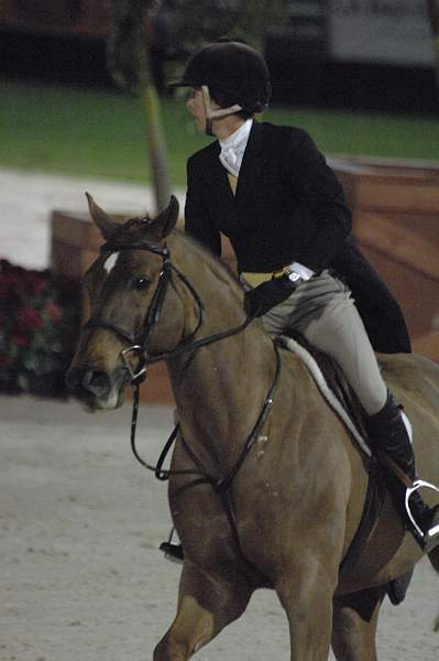 495-Fiyero-ElizabethBoyd-AHJFHunterClassic-2-23-08-DeRosaPhoto