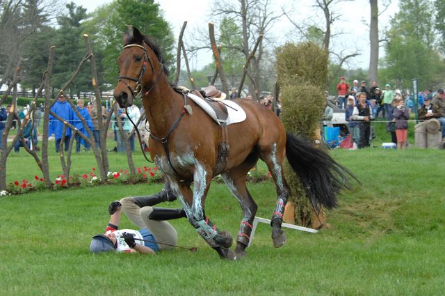 1013-DorninAnneNorth-LionDisplay-Rolex-4-26-08-DeRosaPhoto.jpg