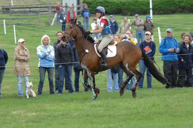 992-DorninAnneNorth-LionDisplay-Rolex-4-26-08-DeRosaPhoto.jpg