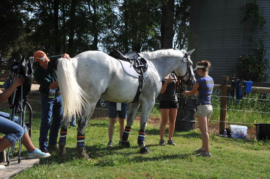 So8ths2-5-5-12-XCDay-3092-DDeRosaPhoto