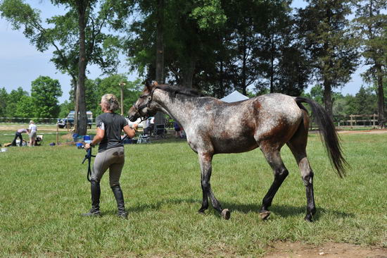 So8ths2-5-5-12-XCDay-3459-DDeRosaPhoto