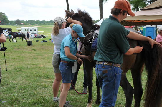 So8ths2-5-5-12-XCDay-3703-DDeRosaPhoto