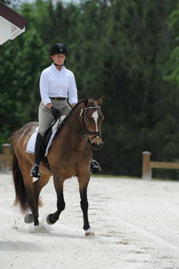 So8ths-5-4-12-Dressage-1223-DanaNorquist-FoothillsWaterman-DDeRosaPhoto