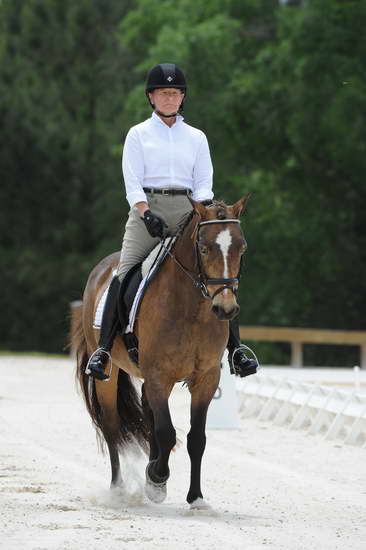 So8ths-5-4-12-Dressage-1224-DanaNorquist-FoothillsWaterman-DDeRosaPhoto