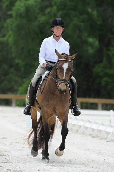 So8ths-5-4-12-Dressage-1228-DanaNorquist-FoothillsWaterman-DDeRosaPhoto