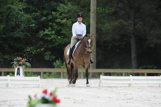 So8ths-5-4-12-Dressage-1231-DanaNorquist-FoothillsWaterman-DDeRosaPhoto