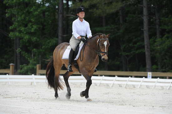 So8ths-5-4-12-Dressage-1237-DanaNorquist-FoothillsWaterman-DDeRosaPhoto