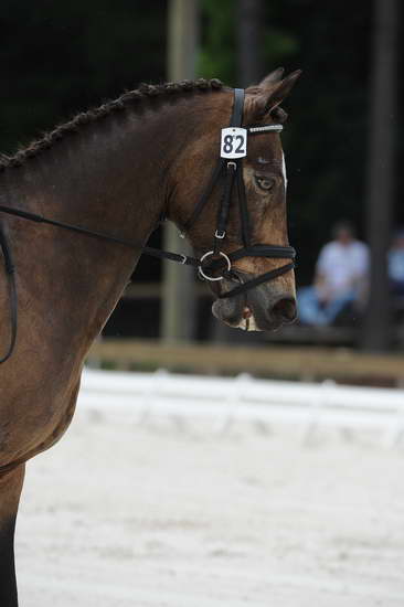 So8ths-5-4-12-Dressage-1244-DanaNorquist-FoothillsWaterman-DDeRosaPhoto