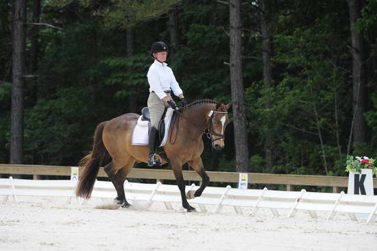 So8ths-5-4-12-Dressage-1246-DanaNorquist-FoothillsWaterman-DDeRosaPhoto