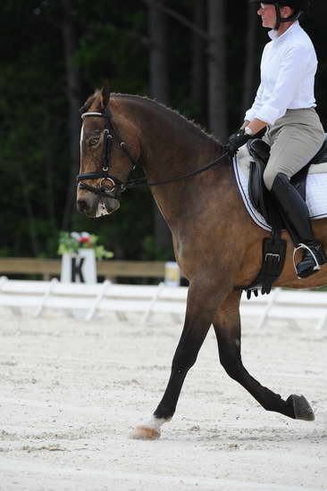 So8ths-5-4-12-Dressage-1249-DanaNorquist-FoothillsWaterman-DDeRosaPhoto