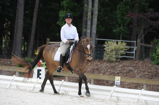 So8ths-5-4-12-Dressage-1251-DanaNorquist-FoothillsWaterman-DDeRosaPhoto